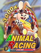 ประสบการณ์ พนันบอล: ความท้าทายและความสนุกที่รู้จักดี